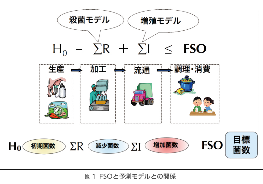 http://www.nposfss.com/kikan_46_p4_fig.png